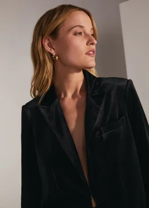 THE VELVET BLAZER